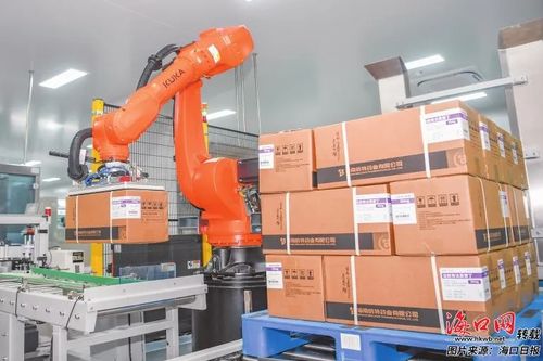 海口數字產業加速跑 數字基建 游戲出海 智能工廠領銜